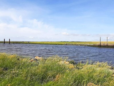 Holiday house 4 Sterne Ferienhaus in Højer - Outdoor photo 12