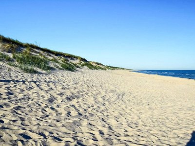 Holiday house 4 Sterne Ferienhaus in Højer - Outdoor photo 14