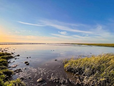 Holiday house 4 Sterne Ferienhaus in Højer - Outdoor photo 15
