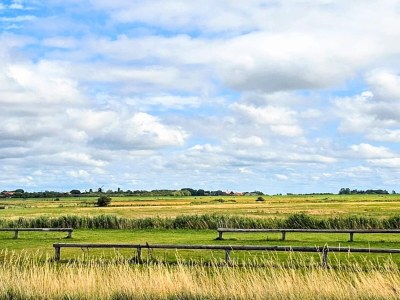 Holiday house 4 Sterne Ferienhaus in Højer - Outdoor photo 30