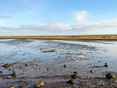 Holiday house 4 Sterne Ferienhaus in Højer - Outdoor photo 32