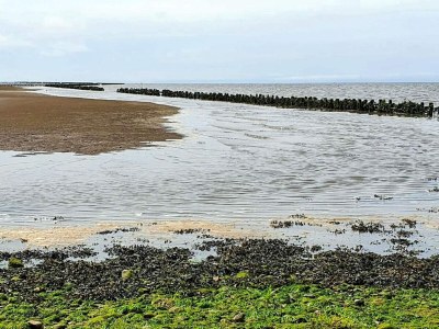 Holiday house 4 Sterne Ferienhaus in Højer - Outdoor photo 33