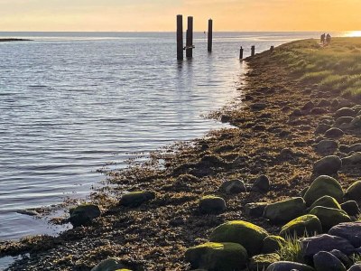 Holiday house 4 Sterne Ferienhaus in Højer - Outdoor photo 34