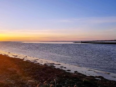 Holiday house 4 Sterne Ferienhaus in Højer - Outdoor photo 36