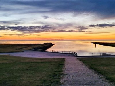 Holiday house 4 Sterne Ferienhaus in Højer - Outdoor photo 37