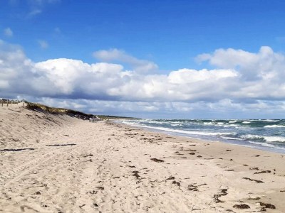 Holiday house 4 Sterne Ferienhaus in Højer - Outdoor photo 40