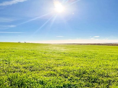 Holiday house 4 Sterne Ferienhaus in Højer - Outdoor photo 48
