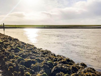 Holiday house 4 Sterne Ferienhaus in Højer - Outdoor photo 50