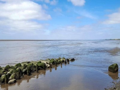 Holiday house 4 Sterne Ferienhaus in Højer - Outdoor photo 51