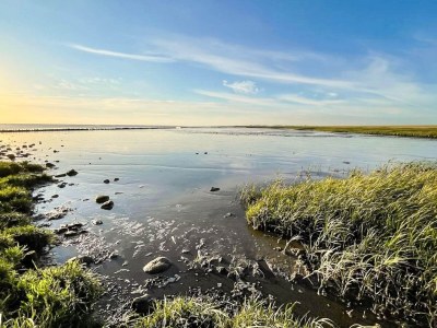Holiday house 2 Personen Ferienhaus in Højer - Outdoor photo 8