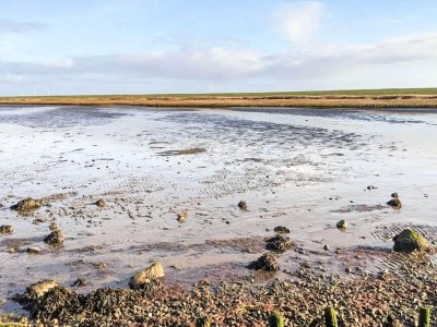 Holiday house 2 Personen Ferienhaus in Højer - Outdoor photo 28