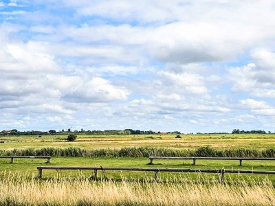 Holiday house 2 person holiday home in Højer - Outdoor photo 19