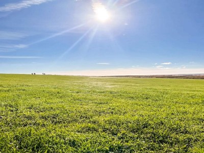 Holiday house 2 person holiday home in Højer - Outdoor photo 29