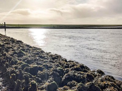 Holiday house 2 person holiday home in Højer - Outdoor photo 31