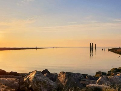 Holiday house 2 person holiday home in Højer - Outdoor photo 36