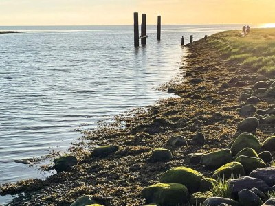 Holiday house 2 person holiday home in Højer - Outdoor photo 39