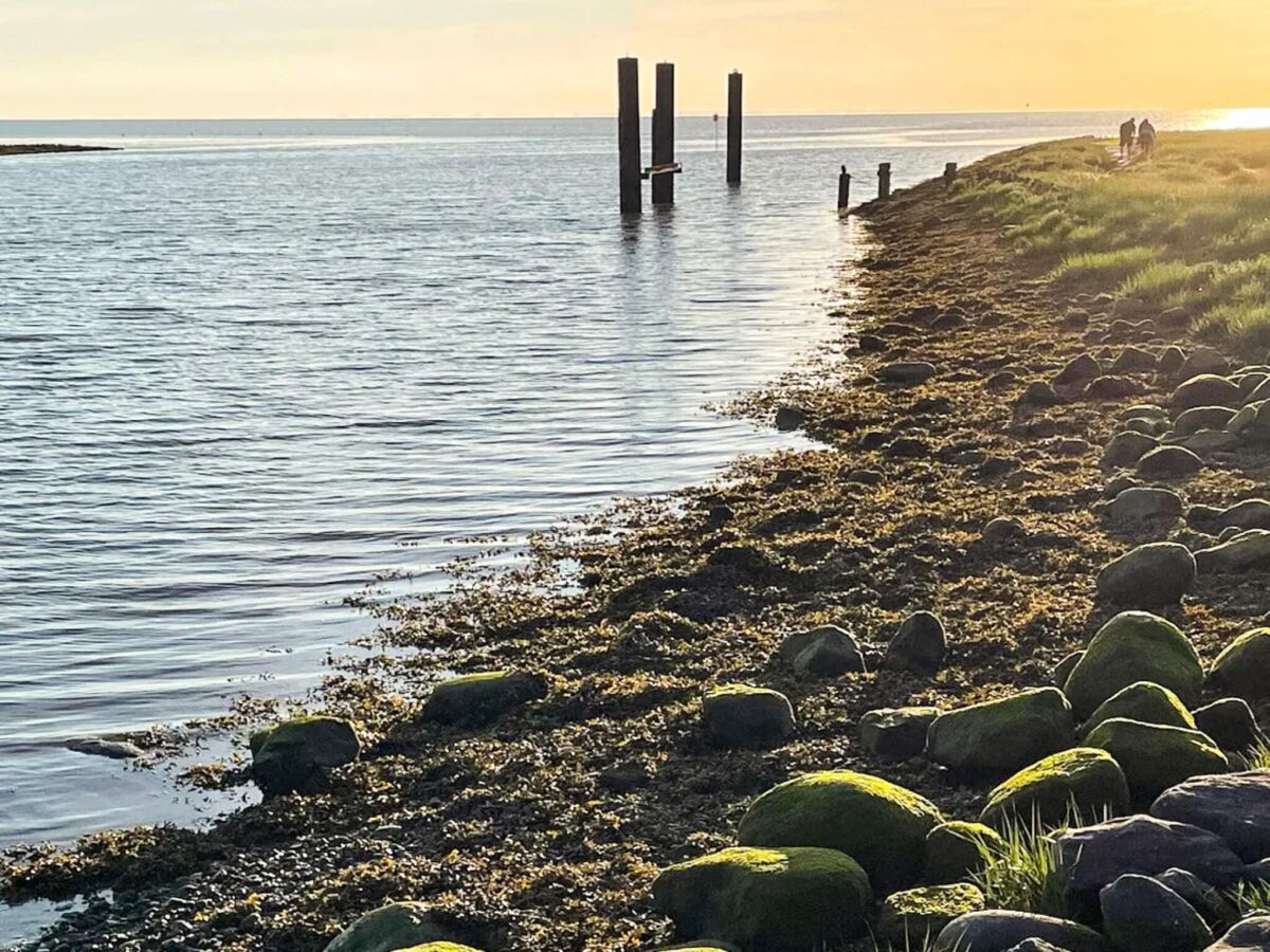 Holiday house 16 person holiday home in Højer - Outdoor photo 5