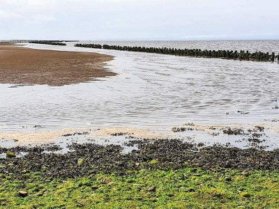 Holiday house 16 person holiday home in Højer - Outdoor photo 24