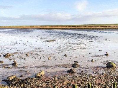 Holiday house 16 person holiday home in Højer - Outdoor photo 34