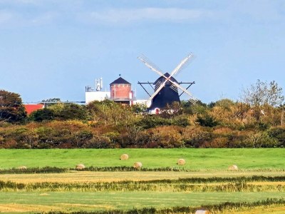 Holiday house 16 person holiday home in Højer - Outdoor photo 39