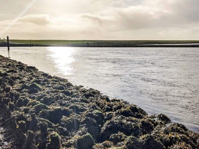 Holiday house 16 person holiday home in Højer - Outdoor photo 52