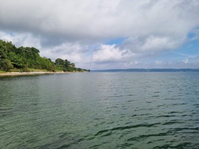 Holiday house 4 Sterne Ferienhaus in Børkop - Outdoor photo 9