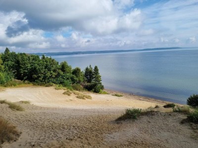 Holiday house 4 Sterne Ferienhaus in Børkop - Outdoor photo 13