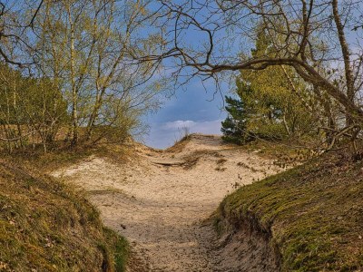 Holiday house 4 Sterne Ferienhaus in Børkop - Outdoor photo 36