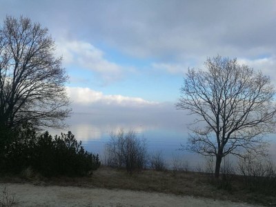 Holiday house 4 Sterne Ferienhaus in Børkop - Outdoor photo 37