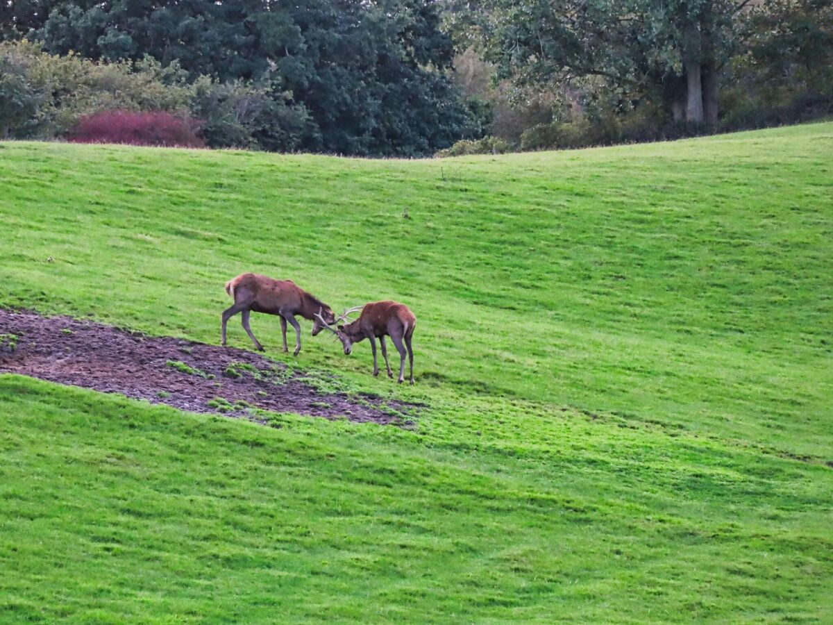 Holiday house 6 Personen Ferienhaus in Haderslev - Outdoor photo 4