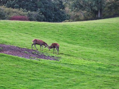 Holiday house 6 Personen Ferienhaus in Haderslev - Outdoor photo 4