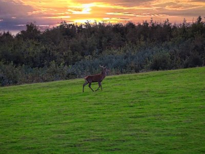 Holiday house 6 Personen Ferienhaus in Haderslev - Outdoor photo 9