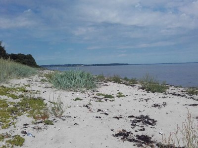 Holiday house 6 Personen Ferienhaus in Haderslev - Outdoor photo 20