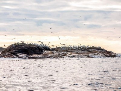 Holiday house 6 Personen Ferienhaus in Averøya - Outdoor photo 8