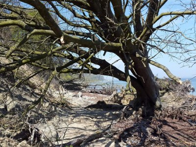 Holiday house 4 Sterne Ferienhaus in Sydals - Outdoor photo 12