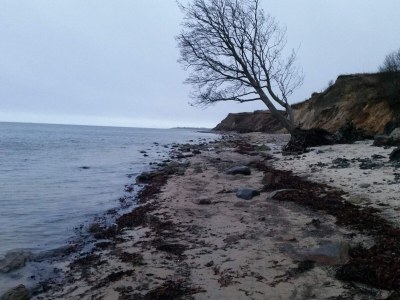 Holiday house 4 Sterne Ferienhaus in Sydals - Outdoor photo 23