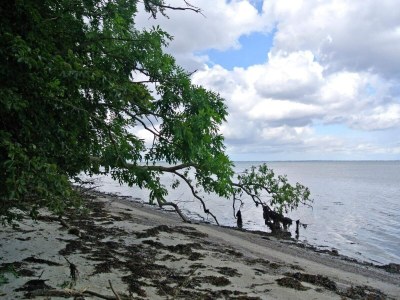 Holiday house 6 Personen Ferienhaus in Hejls - Outdoor photo 40