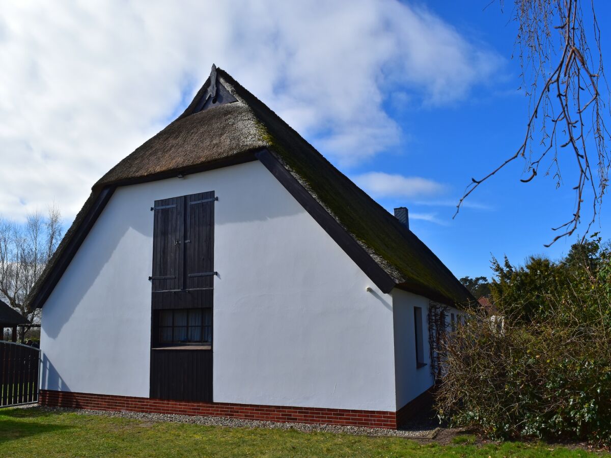 Apartment Ferien unterm Reetdach bis zu 6 Personen - Outdoor photo 3