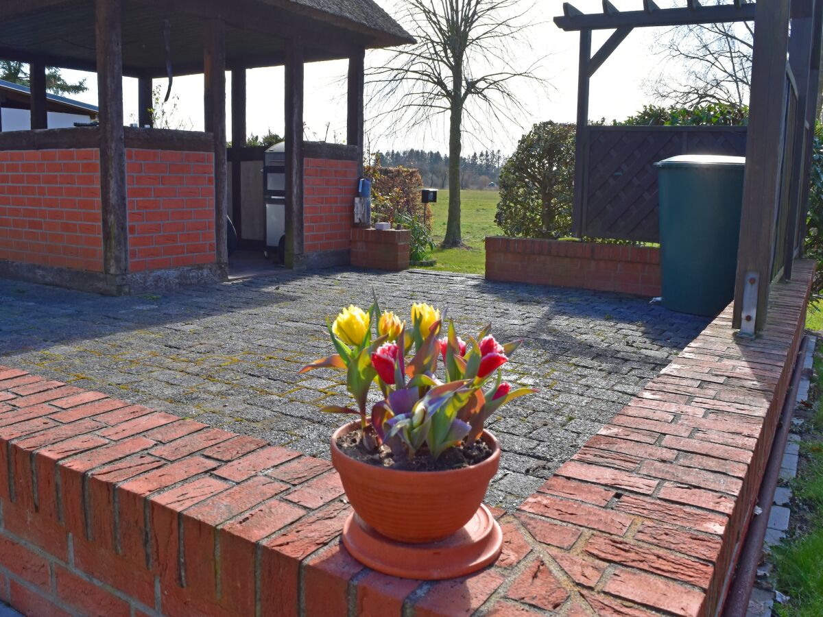 Apartment Ferien unterm Reetdach bis zu 6 Personen - Outdoor photo 4