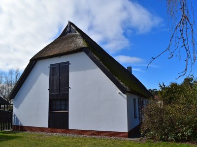 Apartment Ferien unterm Reetdach bis zu 6 Personen - Outdoor photo 11