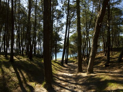 Villa Poolside Comfort by Coast - Environment photo 33