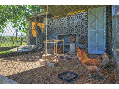 Villa Apartment in Mallorca near Beaches - Outdoor photo 31