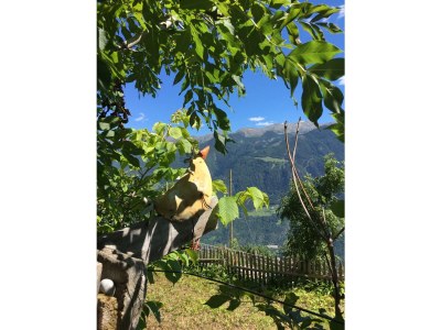 Holiday house No title - Outdoor photo 6