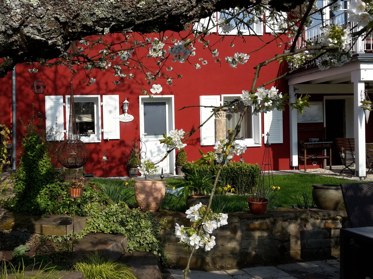 Apartment Villa Silvi - Outdoor photo 2