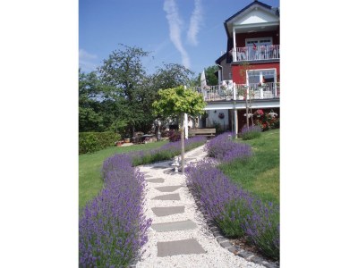 Apartment Villa Silvi in Lohmar - Apartment