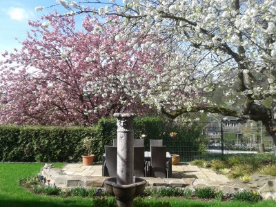 Apartment Villa Silvi - Outdoor photo 7