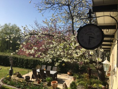 Apartment Villa Silvi - Outdoor photo 8