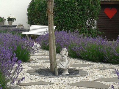 Apartment Villa Silvi - Environment photo 20