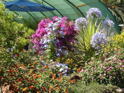 Holiday house Mimosa - Outdoor photo 5