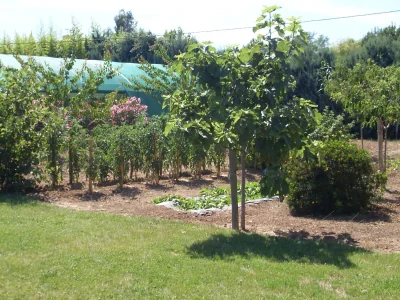 Holiday house Mimosa - Outdoor photo 6